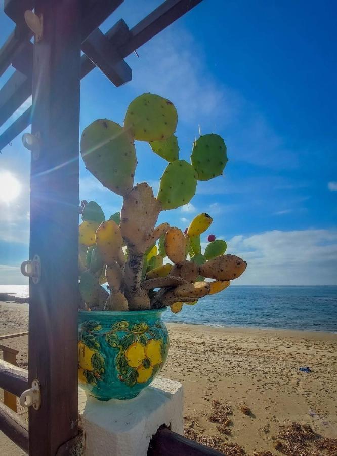 Appartamento La Coffa Agnone Cilento Exterior photo
